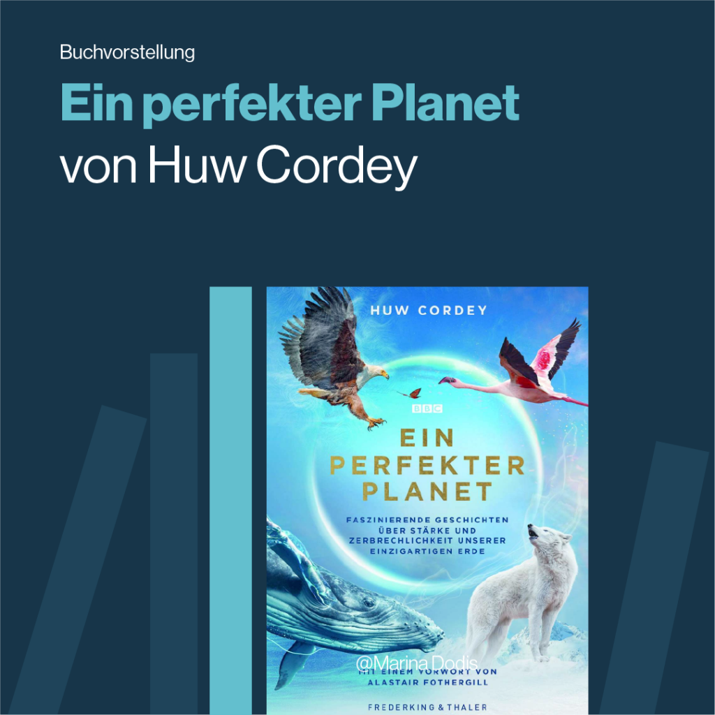 Ein perfekter Planet von Huw Cordey